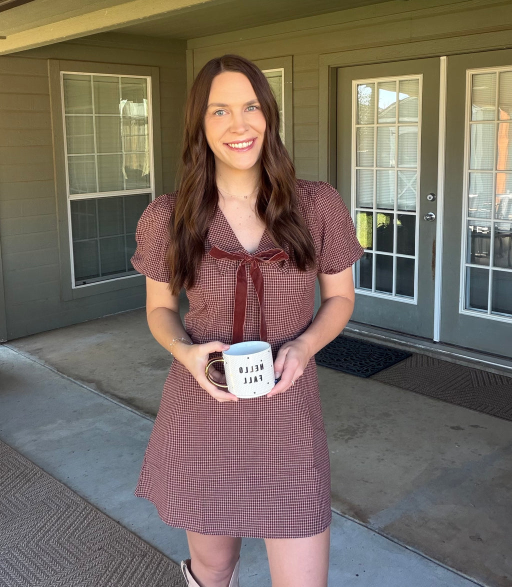 The Darlin' Gingham Dress